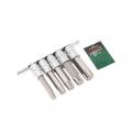 Набор головок-бит Torx 6-лучевых, 5 пр.(Т60,Т70,Т80,Т90,Т100; L-100мм) 1/2", на планке RF-40914L