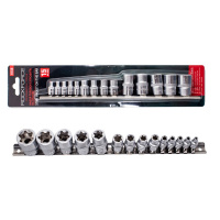 Фото товара - Набор головок торкс 14пр.1/4",3/8",1/2"(1/4":E4-Е8, 3/8":Е10-Е12, Е14; 1/2":Е16,Е18,Е20,Е22,E24),на планке RF-4158