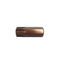 Фото товара - Бита TORX T60х30ммL, 5/16" RF-1563060 Premium