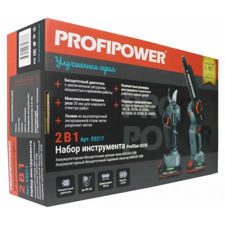 Аккумуляторный бесщеточный НАБОР 2в1 PROFIPOWER ProfiSet-2G20 (Li-ion-2шт 20В, 2.0Ач, З/У, коробка, E0099, E0216) E0217 - 1