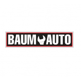 Фото раздела - BAUMAUTO