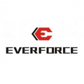 Фото раздела - EVERFORCE